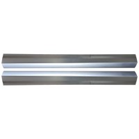 Dørpanel reparationsplade til Renault Megane III 2008-2016 / Venstre+Højre / Sæt 16045